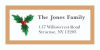 Christmas Mistletoe Christmas Address Labels 2